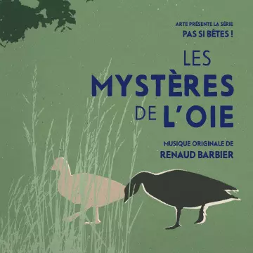 PAS SI BÊTES ! - LES MYSTÈRES DE L'OIE