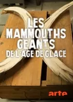 Les mammouths géants de l'âge de glace