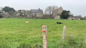 CHEMINS DE TRAVERSE - ENTRE L’AUTRICHE ET LA SLOVÉNIE