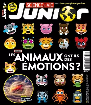 Science et Vie Junior N°398 – Novembre 2022