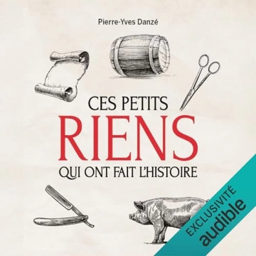 Ces petits riens qui ont fait l'histoire   Pierre-Yves Danze