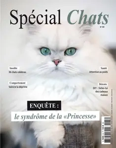 Spécial Chats N.66 - Janvier-Février-Mars 2025