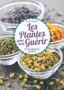 Les plantes pour tout guérir et pour booster sa santé