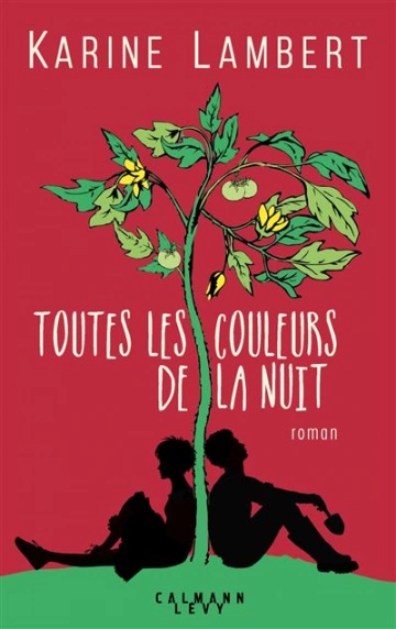 Toutes les couleurs de la nuit - Karine Lambert