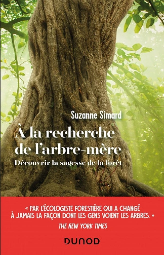 À LA RECHERCHE DE L'ARBRE-MÈRE SUZANNE SIMARD