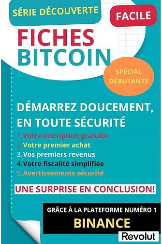 Fiches Bitcoin Demarrez Doucement En Toute Securité