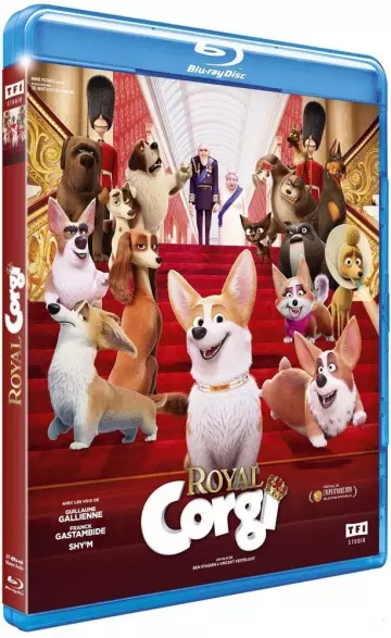 Royal Corgi