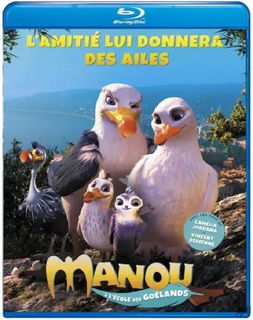 Manou, à l'école des goélands