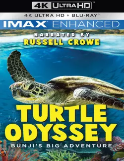 Turtle Odyssey