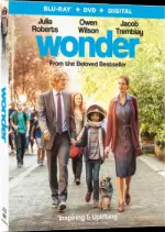 Wonder