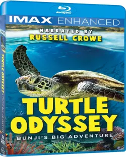 Turtle Odyssey