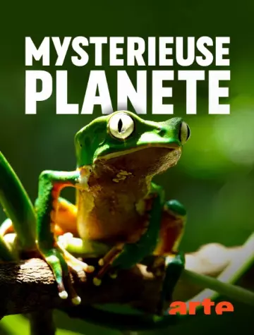 Mystérieuse planète