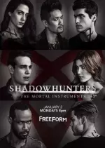 Shadowhunters